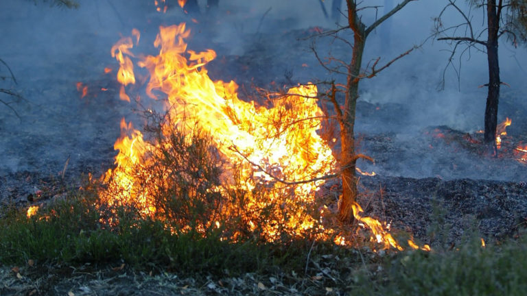 Natuurbrandenindex voor Bergense duingebied opgeschaald naar ‘Fase 2: Extra Alert’