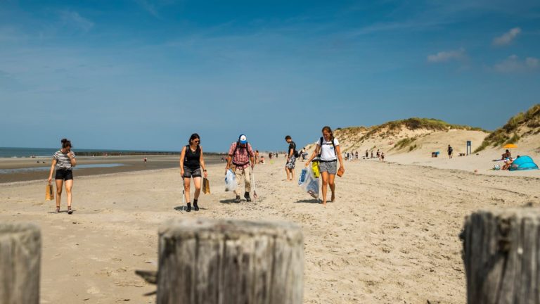 Geen strandschoonmaak van Stichting Noordzee deze zomer