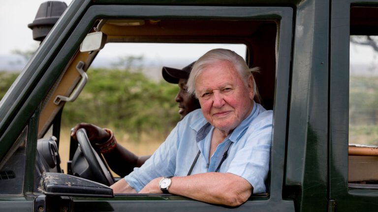 Wereldpremière A Life On Our Planet van David Attenborough bij Cinebergen 🗓