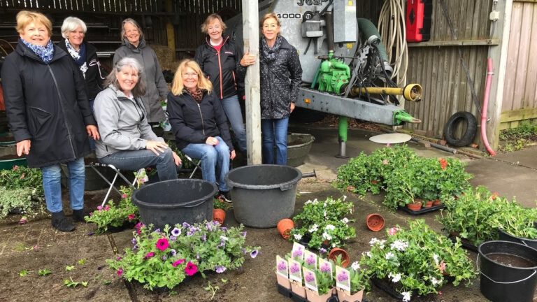 Vrijwilligers vullen al zeven jaar mandjes met fleurige planten voor centrum Bergen