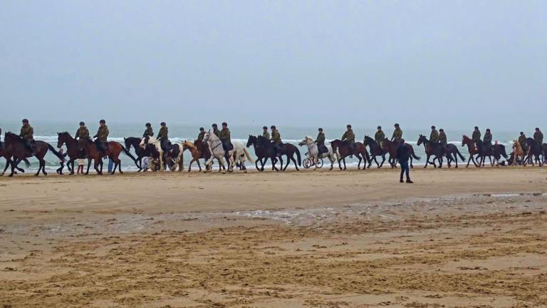 Training defensiepaarden op het strand bij Egmond aan Zee