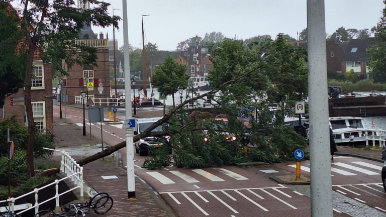 Gemeente Alkmaar: duizend bomen afgeschreven door schade zomerstorm Poly