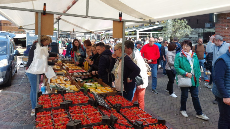 Voortbestaan Alkmaarse markten verzekerd door gemeente: “Warenmarkten zijn belangrijk”